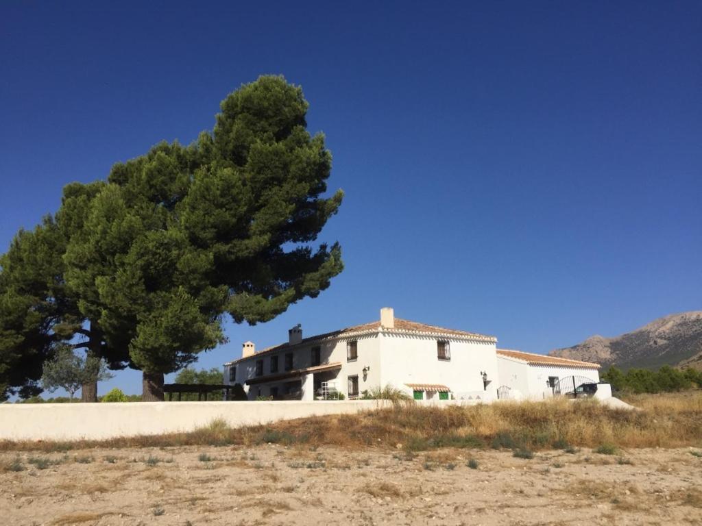 B&B Cortijo El Ciruelo Chirivel Exteriér fotografie