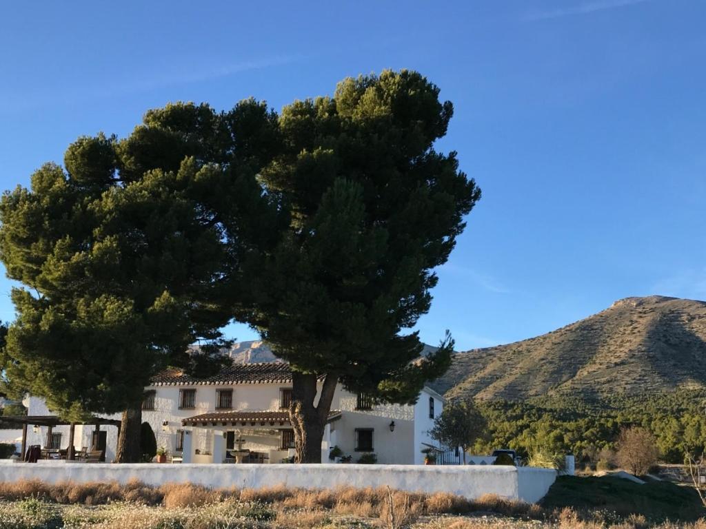 B&B Cortijo El Ciruelo Chirivel Exteriér fotografie