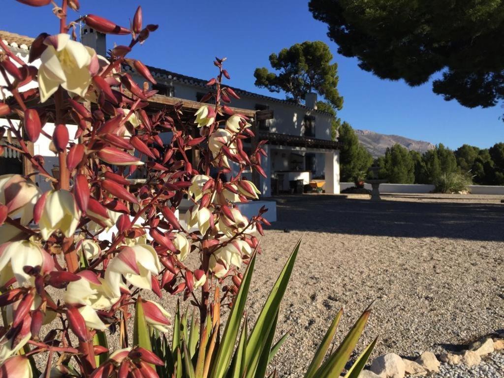 B&B Cortijo El Ciruelo Chirivel Exteriér fotografie